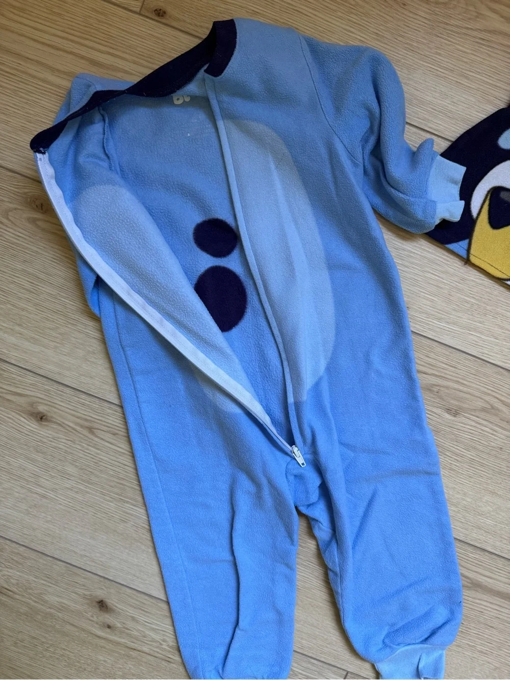 bluey outfit size 2t